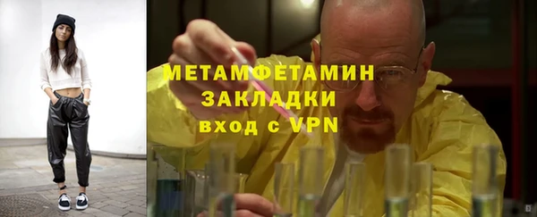 сатива Балахна