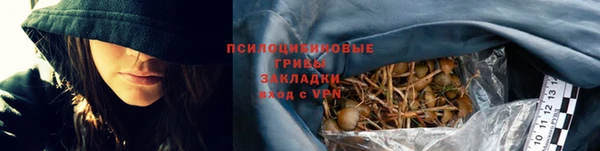 сатива Балахна