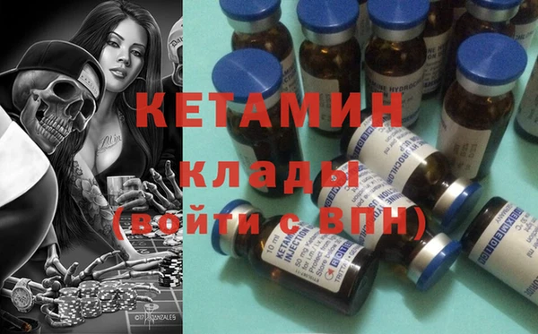 сатива Балахна