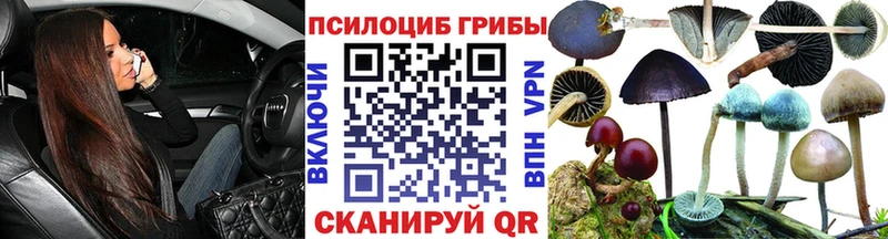 Купить где  Дубовка  Галлюциногенные грибы мицелий 