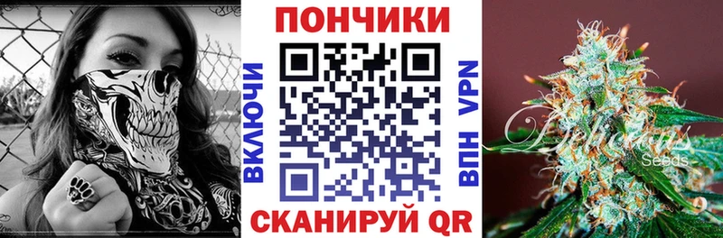 Купить где Дубовка Бошки Шишки сатива